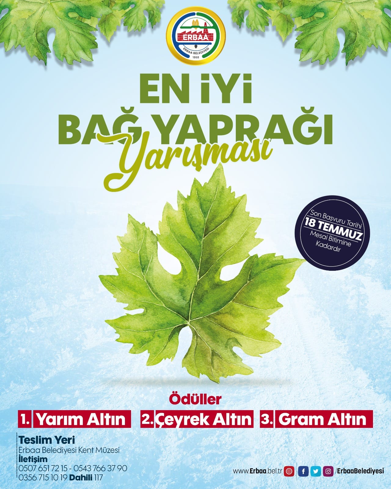 En İyİ Bağ Yaprağı Yarışması