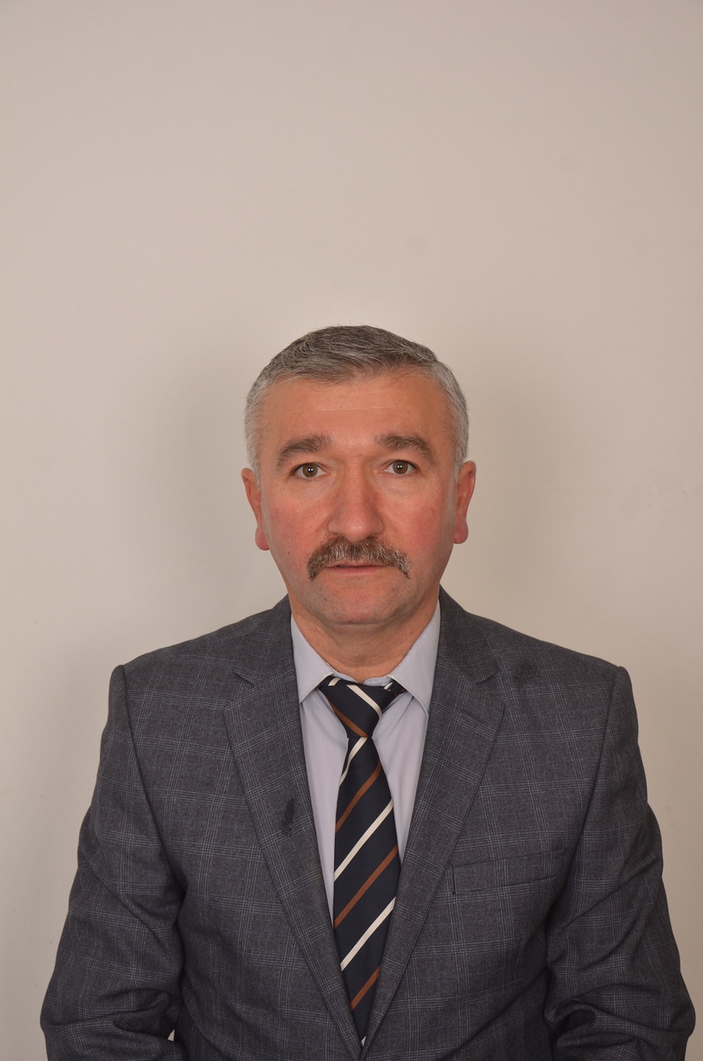Mehmet ERGİŞİ